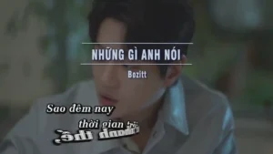 Những Gì Anh Nói – Bozitt