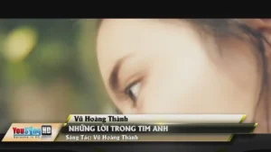 Những Lời Trong Tim Anh – Vũ Hoàng Thành