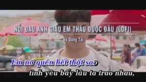 Nỗi Đau Anh Giấu Em Thấu Được Đâu (Lofi) – Võ Dang Tài