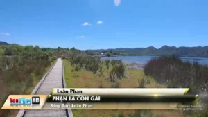 Phận Là Con Gái – Luân Phan