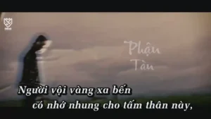 Phận Tàn – Phát Lee & TVK