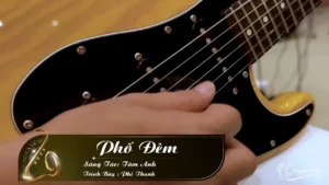 Phố Đêm – Phi Thanh