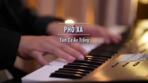 Phố Xa – Tam Ca Áo Trắng