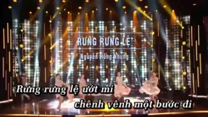 Rưng Rưng Lệ – Nguyễn Hồng Nhung