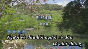 Rừng Xưa – Tuấn Vũ