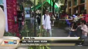 Sắc Trời Sang Xuân – Near Trần