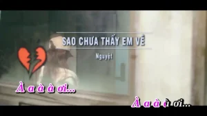 Sao Chưa Thấy Em Về – Nguyệt