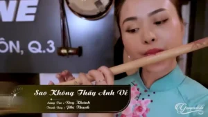 Sao Không Thấy Anh Về – Phi Thanh