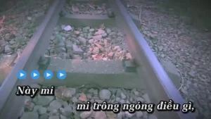 Sao Vậy Mi – Rô Ti