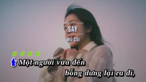 Say – Mũ Cối