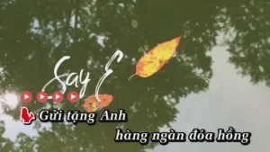 Say Em Mất Rồi – Đình Trọng & Xuân Quỳnh