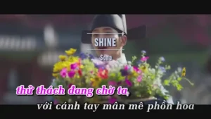 Shine – Sona