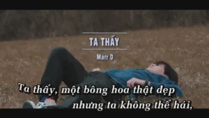 Ta Thấy – Marr D