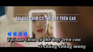 Tại Sao Chim Có Thể Bay Trên Cao – Tơ