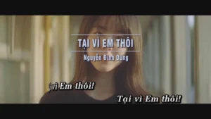 Tại Vì Em Thôi – Nguyễn Đình Dũng