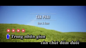 Tàn Phai – Dee & Zone