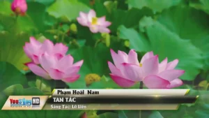 Tan Tác – Phạm Hoài Nam