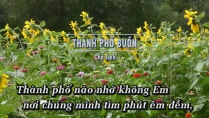 Thành Phố Buồn – Chế Linh