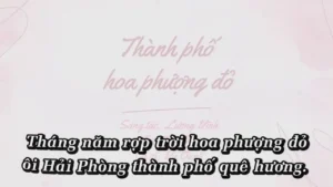 Thành Phố Hoa Phượng Đỏ – Vy Oanh