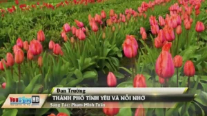 Thành Phố Tình Yêu Và Nỗi Nhớ – Đan Trường