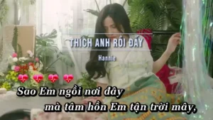 Thích Anh Rồi Đấy – Hannie