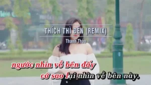 Thích Thì Đến (Remix) – Thanh Thảo