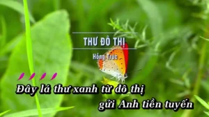 Thư Đô Thị – Hồng Trúc