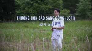 Thương Con Sáo Sang Sông (Lofi) – Bùi Phi Long