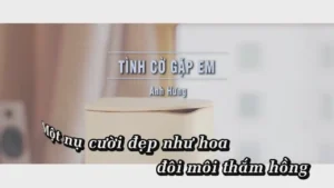 Tình Cờ Gặp Em – Anh Hưng