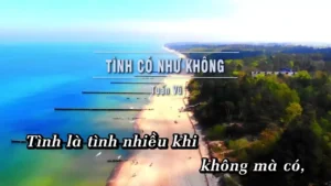 Tình Có Như Không – Tuấn Vũ