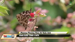 Tình Đầu Tình Cuối – Phương Phương Thảo & Tuấn Anh