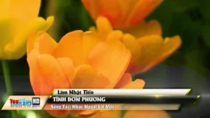 Tình Đơn Phương – Lâm Nhật Tiến