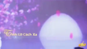 Tình Lỡ Cách Xa (Remix) – Ân Thiên Vỹ & Lý Diệu Linh