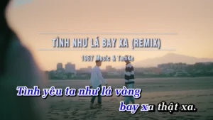 Tình Như Lá Bay Xa (Remix) – 1967 Music & Tamke