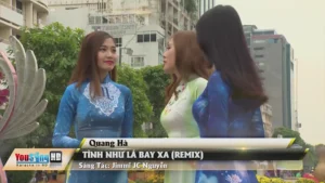 Tình Như Lá Bay Xa (Remix) – Quang Hà