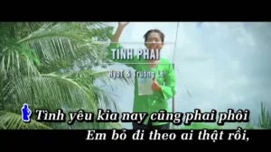 Tình Phai – RyoT & Trường Lê