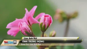 Tình Trong Mộng – Lâm Anh Hải