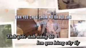 Tình Yêu Chưa Chớm Nở Đã Vội Tàn – Cường