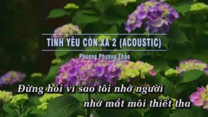 Tình Yêu Còn Xa 2 (Acoustic) – Phương Phương Thảo