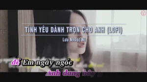 Tình Yêu Dành Trọn Cho Anh (Lofi) – Lưu Nhược Ni