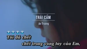 Trái Cấm – An Trương