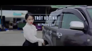 Trót Vô Tình – Hồ Phương Liên