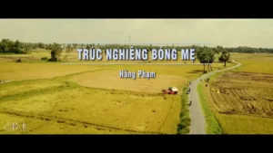 Trúc Nghiêng Bóng Mẹ – Hằng Phạm