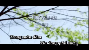 Từng Phím Đàn – King B