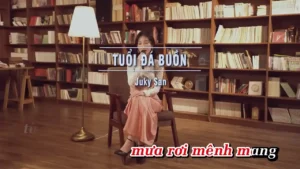 Tuổi Đá Buồn – Juky San