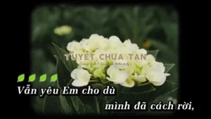 Tuyết Chưa Tan (Radio) – Quang Vinh