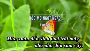 Ước Mơ Ngọt Ngào – Quang Hà