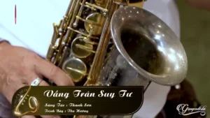 Vầng Trán Suy Tư – Thu Hường