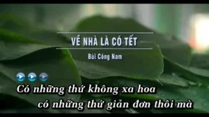 Về Nhà Là Có Tết – Bùi Công Nam