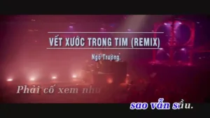 Vết Xước Trong Tim (Remix) – Ngô Trường